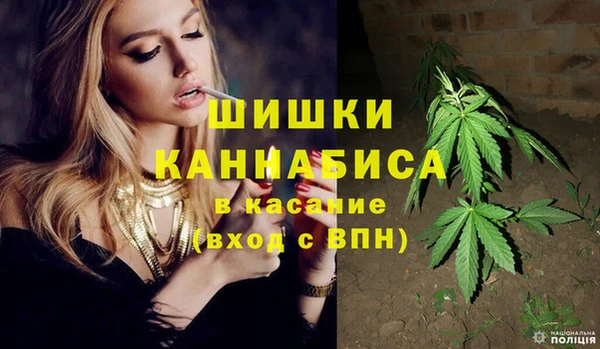 гидра Арсеньев