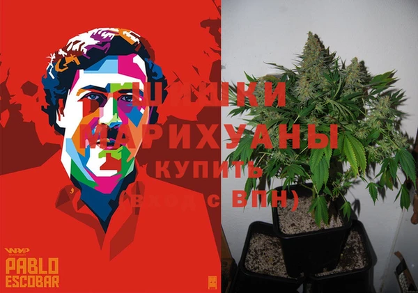 гидра Арсеньев