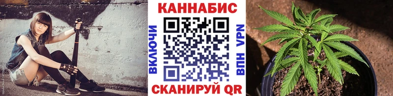 цены   Морозовск  Бошки марихуана семена 